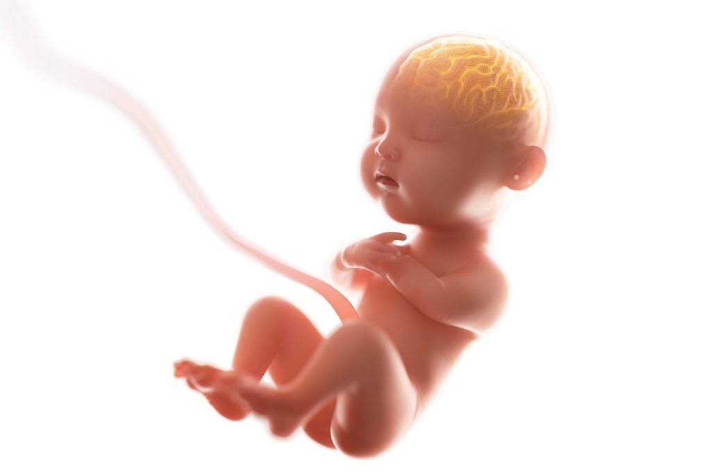 Omega 3 Benefits during Pregnancy