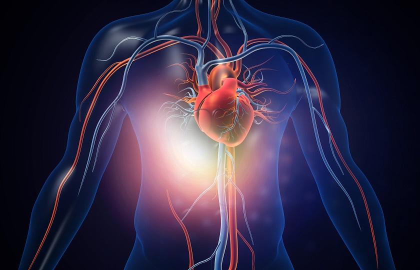 Omega 3 Benefits for the Heart