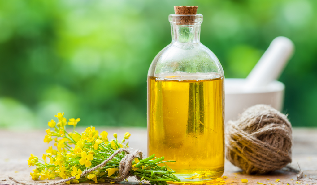 Olive oil is your heart’s favorite oil